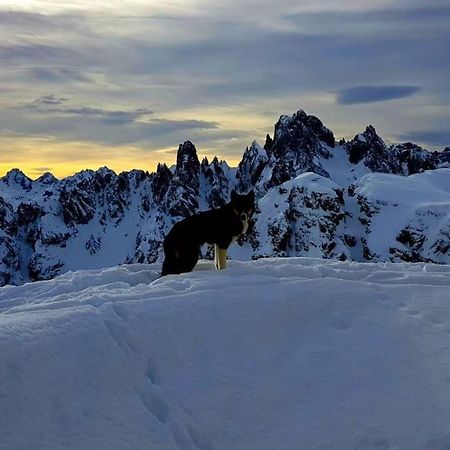 Appartamento Daniela Dolomiti. Ауронцо ди Кадоре Екстериор снимка